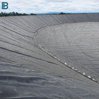 ASTM 100% vierge 0.5mm 1mm 1.5mm 2mm 3mm HDPE Pvc feuille de rouleau en plastique résistance aux UV géomembrane étanche renforcé revêtement d'étang