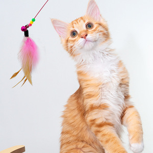 Jouet interactif pour chat - Jouets pour animaux de compagnie - Baguette amusante en fil d'acier avec plumes et clochettes en plastique pour chat - Product Image 2