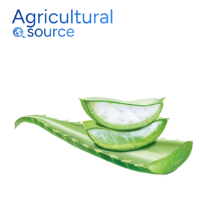 Gel de Aloe Vera Premium de la mejor venta, puro extraído en frío y rico en nutrientes para la piel del cabello y tratamientos de Aloe Vera de Vietnam - Product Image 2