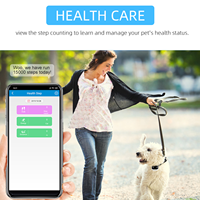 Nouveauté : Collier anti-perte pour chien et chat avec moniteur d'activité en temps réel, appel vocal, GPS intelligent 2G, mini traceur pour animaux de compagnie