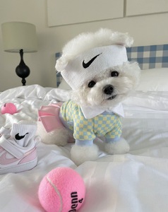 Honden Trui Jas Kat Kleding Gebreide Huisdier Truien Kitten Puppy Levert Groothandel Honkbal Uniformen En Hoed - Product Image 5