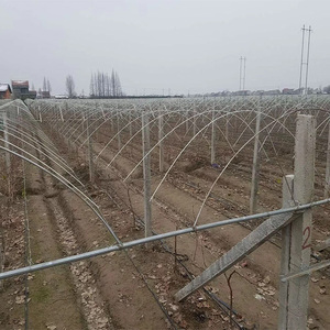 Non Rust FRP GRP Fiberglass Solid <b>Rod</b> Stake Pole - Product Image 4