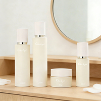 Produit de beauté en marque privée OEM/ODM, anti-âge, éclaircissant, vitamine C, soin raffermissant anti-âge, tonique blanchissant, ensemble de soins de la peau