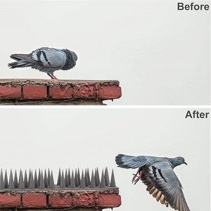 Paquete de 12 Púas Antipájaros de PP Sólido Ecológicas, Repelente de Palomas, Pájaros Carpinteros y Gatos para Uso en Jardines y Granjas al Aire Libre Magicatch - Product Image 6
