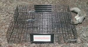 Humane Live Mouse Squirrel Capture Metal Mesh Attraper en continu 25 Piège à cage à rats - Product Image 5