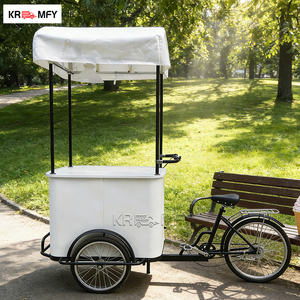 Carrito de Helados Móvil de Fibra de Vidrio con Pedales Eléctricos, Estilo Cafetería - Product Image 4