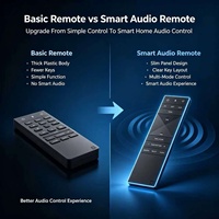 Control Remoto IR de 22 Teclas con Código Fijo y Código Variable para TV, Reproductor de Audio, Decodificador y Subtítulos