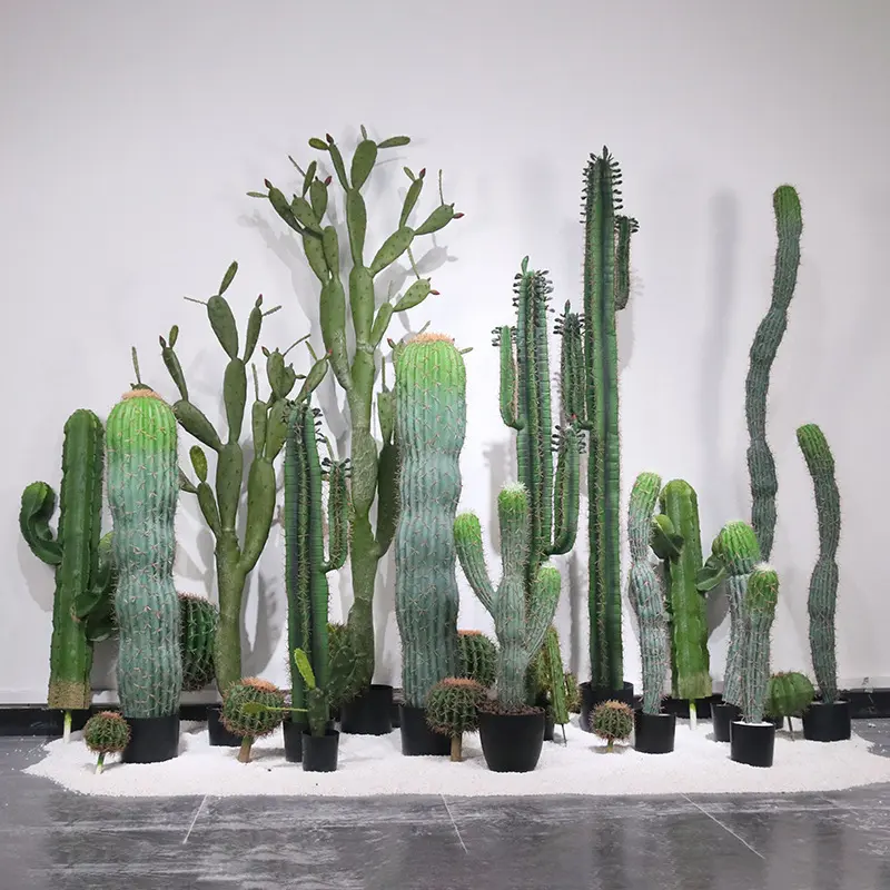 Simulation cactus potted large plants cactus green plants indoor scene window decoration ornaments manufacturers wholesale