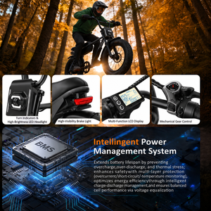 Bicicleta Eléctrica Z7 48V 2, Entrega a Domicilio Gratuita desde Almacén Local en Europa, 48V 13500mAh, Alarma Integrada, Pantalla LCD a Color, Neumáticos Anchos, Todoterreno, 250W - Product Image 6