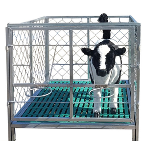 Plumas/cobertizos de acero duraderos para interior para terneros y corderos Nueva condición - Product Image 4