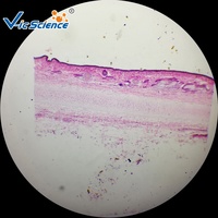 High Quality Educational Teaching Aid Nervous System Microscope Slides Set for Medical Science