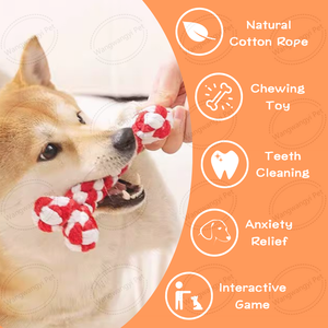 Jouet en corde tressée pour chien en gros Jouet à mâcher en corde de coton naturel pour chien - Product Image 2