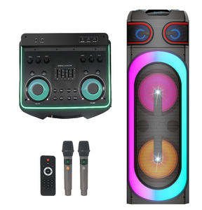 Enceinte professionnelle active de scène DJ karaoké sans fil avec double caisson de basses de 12 pouces, BT 5.0, lumière RVB, 150W, 2 micros - Product Image 4