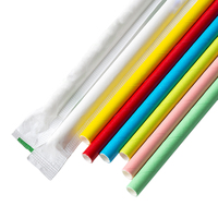 Pailles à boire en papier biodégradables écologiques sans colorants durables noires pour les fêtes Accessoires de bar