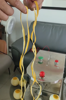 Elektrische roestvrijstalen fruit- en groenteschilmachine, kleine fruitschilmachine voor het schillen van sinaasappels en citroenen