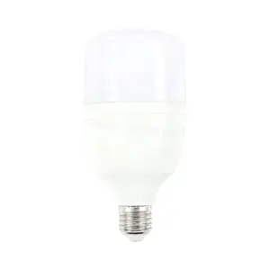 Chinese Leverancier Led Licht 5W 10W 15W 20W 30W 40W 50W 60W Led Lamp Lamp