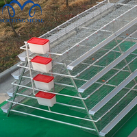 Cage à poules pondeuses en acier soudé automatique de type A, à trous carrés, galvanisée, pour la production d'œufs