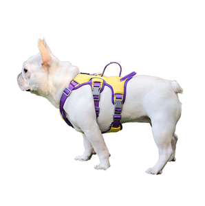 Harnais de luxe pour chien, anti-évasion, anti-traction, en nylon robuste et polyester rembourré, avec laisse de sport, facile à utiliser et élégant - Product Image 1