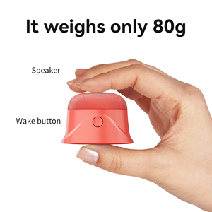 Hearit.ai HA-SPK01 haut-parleur AI BLE de haute précision alimenté par batterie pour les applications de maison intelligente et d'éducation - Product Image 5