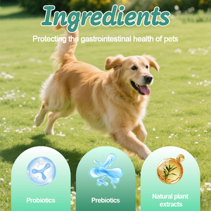 Produits de santé pour animaux de compagnie adaptés aux chats et aux chiens, compléments alimentaires à base de plantes, régulation gastro-intestinale, comprimés vermifuges à base de plantes - Product Image 2