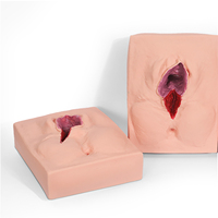 DARHMMY - Modelo de Práctica de Sutura Vulvar para Entrenamiento Médico, para Educación en Obstetricia y Ginecología