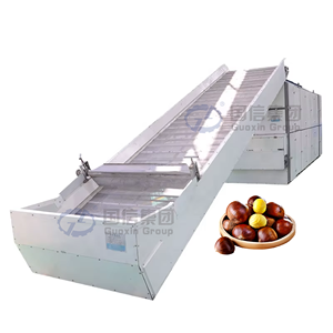 Secador de castañas de malla continua OEM, equipo de procesamiento de frutos secos de alta capacidad, secador de castañas - Product Image 1