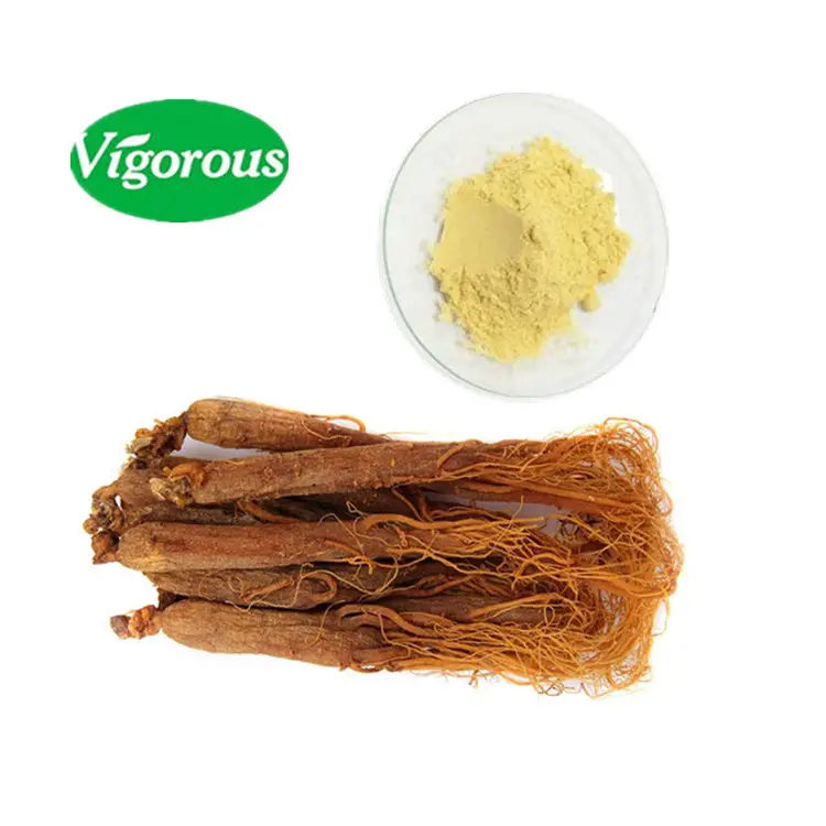 Extrato de raiz de ginseng vermelho hplc, extrato de genseng em pó