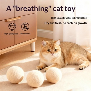 Grenzüberschreitendes Katzenspielzeug für den täglichen Gebrauch: Geräuschloser Schaumstoffball zum Selbstspiel, interaktives Plüschmodell für Kätzchen, QWJ022 - Product Image 2