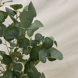 MIni 60cm pianta di simulazione albero di eucalipto succulenta pentola FauxTree soggiorno interno bionico verde decorazione di piante-149 - Product Image 6