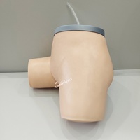 Simulador de Administración de Enemas, Maniquí de Entrenamiento Médico, Modelo de Enfermería Labpilot, Modelo Anatómico de PVC para Enseñanza de Ciencias