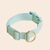 Collier de chien en nylon de haute qualité pour la marche quotidienne, la randonnée et la formation.