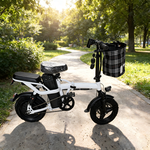 Bicicleta Eléctrica Plegable Compacta de 350W 48V, Fácil de Transportar, Sistema de un Solo Paso, Gran Autonomía, Perfecta para Estudiantes y Viajes Urbanos - Product Image 3