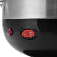 Vente directe usine, prix bas, bouilloire électrique en acier inoxydable 2,0 L + plastique, maintien au chaud, arrêt automatique, samovar domestique