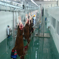 Équipement d'abattage pour abattoirs de buffles et de bovins, y compris les palans d'abattage et les équipements d'abattage de viande de bœuf