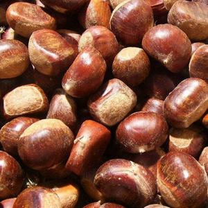 Vegetales congelados orgánicos IQF castaña picada cubos comida china castaña China congelada - Product Image 4