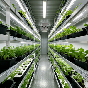 Contenedor Inteligente Grande para Agricultura Vertical Móvil, Sistemas Hidropónicos, Invernadero Interior Automatizado, Cultivo Comercial de Vegetales PF- - Product Image 5