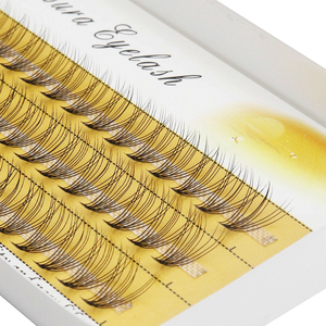 Natural 10D <strong>Mink</strong> <strong>Eyelash</strong> <strong>Extensions</strong> 1 Box/60 Bundles Natural 3D Russia Individual Cluster <strong>Eyelash</strong> Makeup Tools Wholesale Cilia - Product Image 1