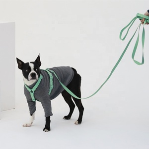 Holesale-<span class=keywords><strong>collar</strong></span> y correas de nailon para perro, conjunto de correas de piel trenzada ulticolor sin tirones - Product Image 5