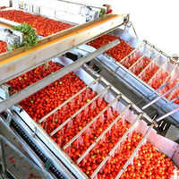 Leadworld Machine automatique de traitement des tomates Nouvelle ligne de production de conserves alimentaires pour le concentré et la sauce de tomates