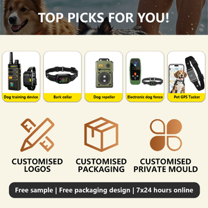 Remote Dog <strong>Training</strong> <strong>Collar</strong> Color Display Rechargeable IP67 Waterproof 2-Hour Fast Charging Adjustable Size Bark Control - Product Image 5