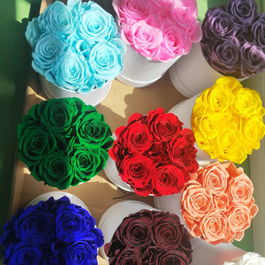 <span class=keywords><strong>Fleur</strong></span> Naturelle Éternelle de Haute Qualité, Rose Préservée Longue Durée en Boîte, Cadeau pour la Fête des Mères et la Saint-Valentin - Product Image 4