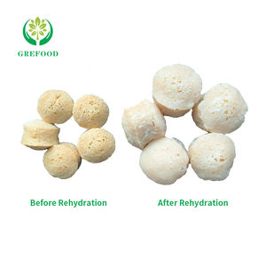 TVP ücretsiz örnek yapay et profesyonel Vegan gıda vejetaryen lal için 68% özelleştirilebilir dokulu sebze proteini - Product Image 2