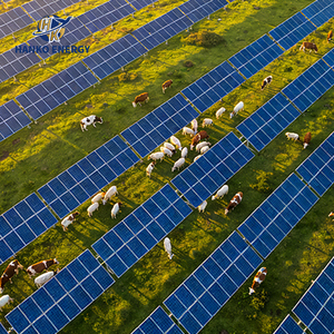 Professional Ground Solar Frame for High Load Capacity Applications Pastoral PV Complementary Mounting System - Product Image 2