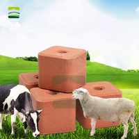Vente en gros de blocs de sel minéral organique pour animaux, blocs de sel minéral pour bovins, moutons, chèvres