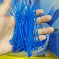 Bleu 4.8X200mm câble autobloquant Zip résistant à la corrosion ETFE attaches de câble en plastique 100 sac Pack Solution de gestion des câbles