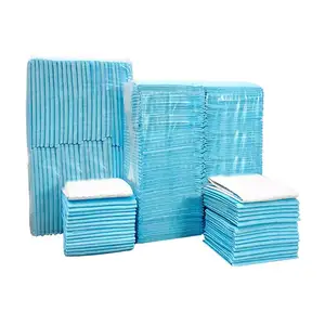 OEM Service Factory Portable Disposable Pet Changing Urine Mat Diaper Super Absorbent Puppy Cat Toilet Dog Training Pad
