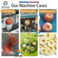 RVS commerciële fruit- en groenteschilmachine voor ananas, appel en peer, CE-gecertificeerd, duurzaam en zeer efficiënt