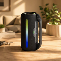 Haut-parleur sans fil portable Havit SK920BT V5.3 USB RGB, haut-parleur sans fil pour l'extérieur, pour la plage/les voyages/la maison