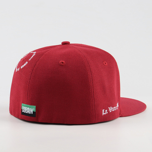 Grosir 6 Panel kustom 3D topi pinggiran datar Logo bordir topi Snapback modis dipasang topi Hip Pop Polyester topi basket dipasang - Product Image 3