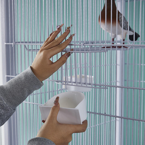 Cage à pigeons de qualité supérieure, robuste, épaissie, <span class=keywords><strong>anti</strong></span>-rongeurs, multi-compartiments, pour l'élevage des pigeons et l'élevage d'oiseaux en extérieur - Product Image 3